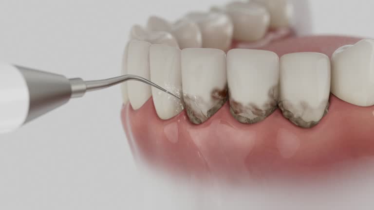 Reliable Dental contractor in Laflin, PA by Dentist Open Now
